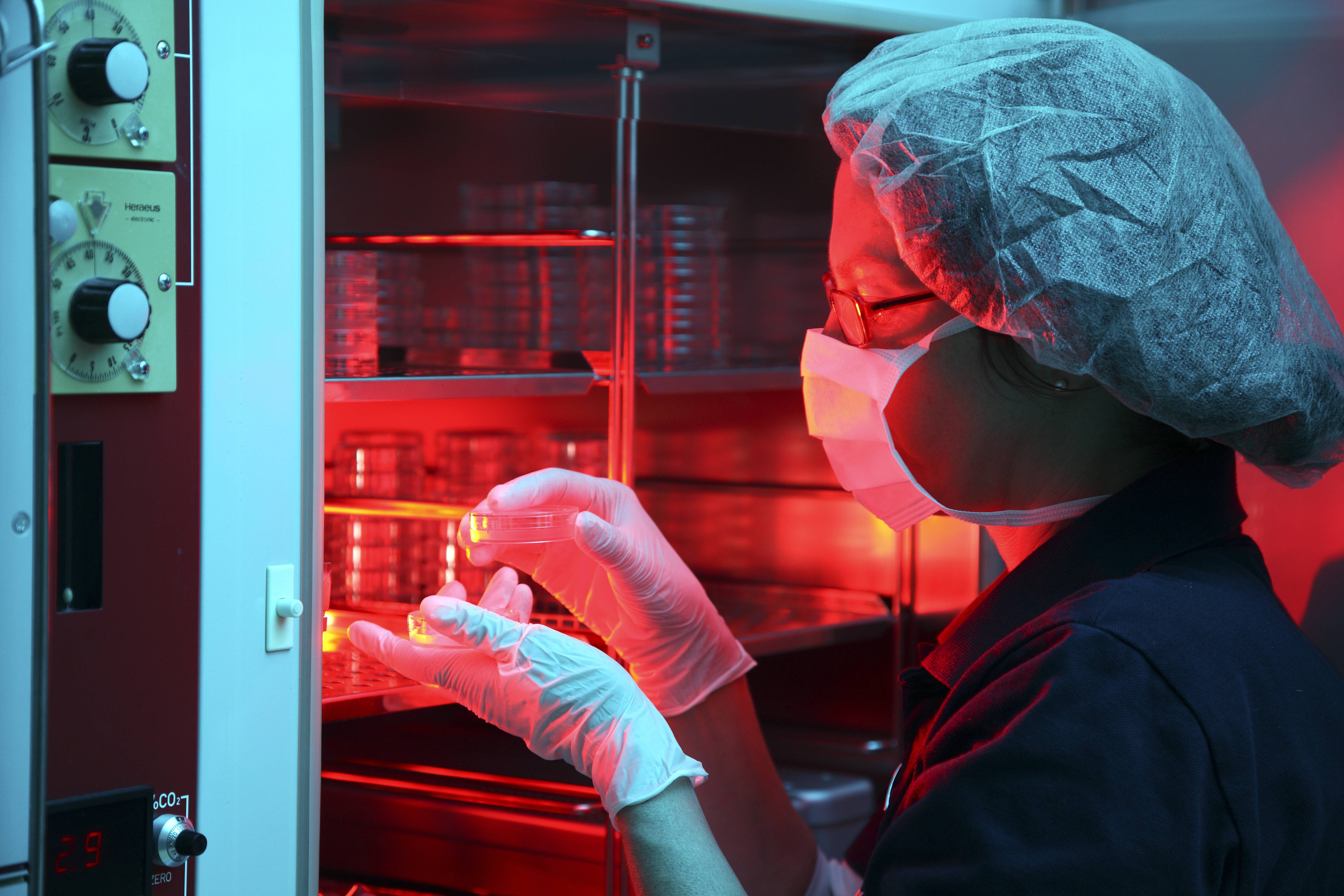 Eine Laborantin nimmt PEtrischale aus dem Kühlfach