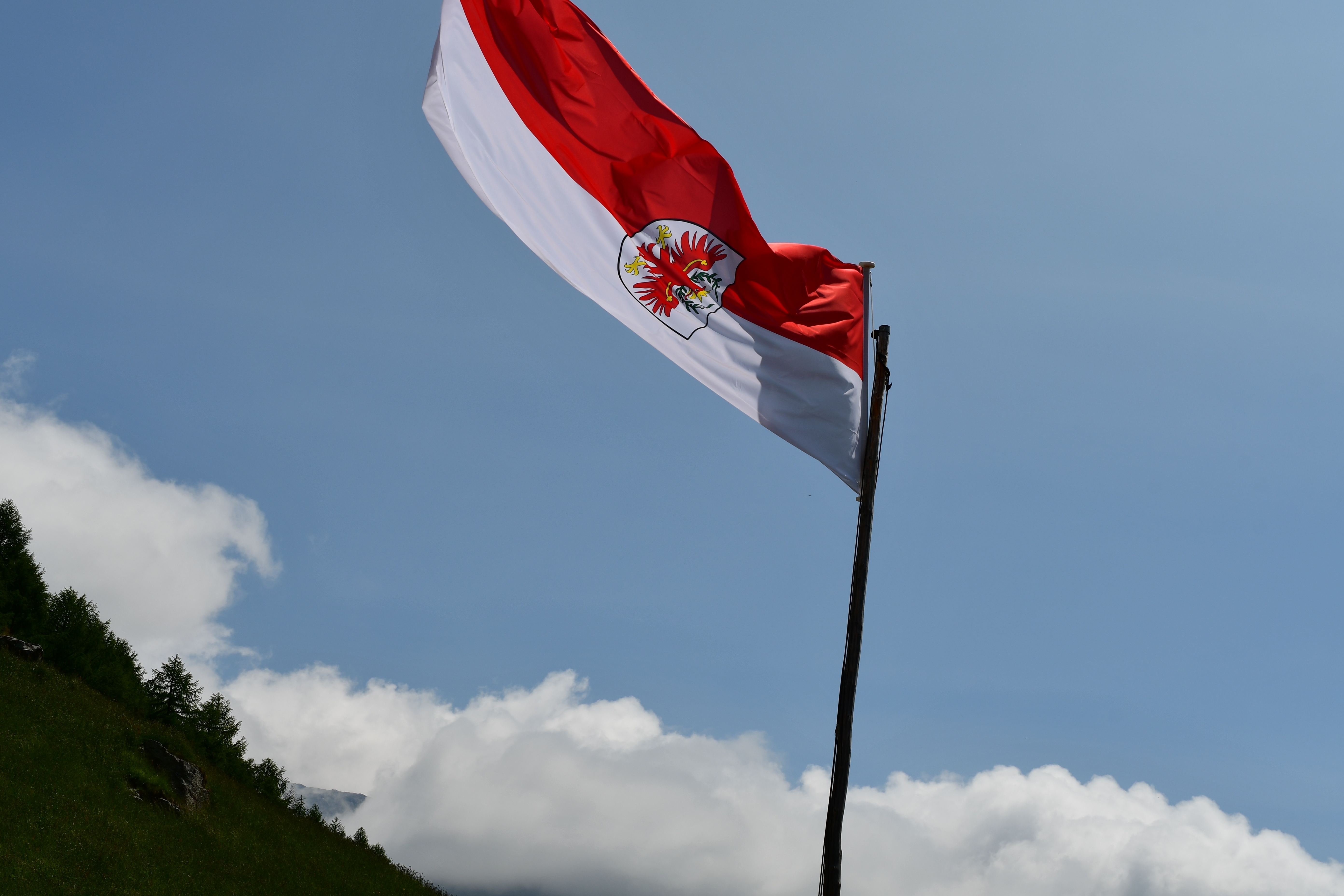 © Sigena-S / shutterstock | 1000plus