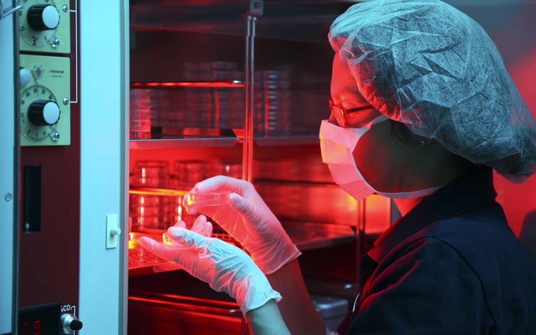 Eine Laborantin nimmt PEtrischale aus dem Kühlfach