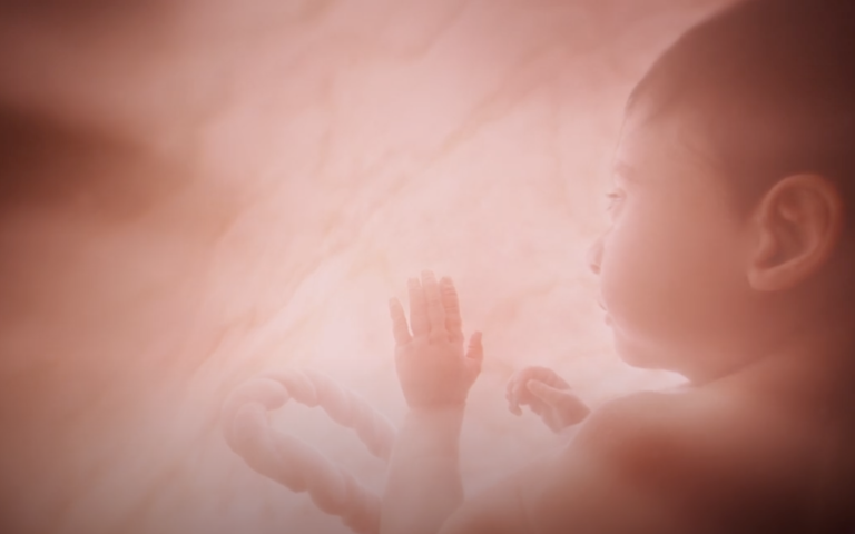 Baby Olivia Erklärvideo - Screenshot Youtube