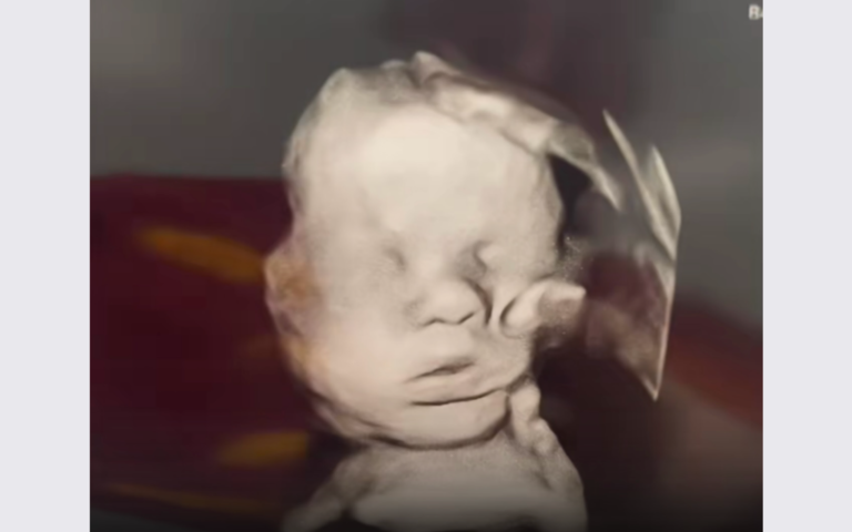 God's Hand Gottes Hand Amanda Foster