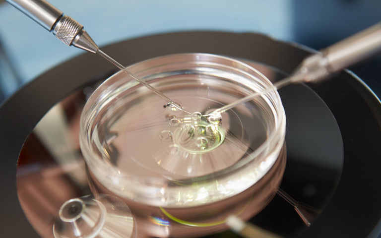 Künstliche Befruchtung