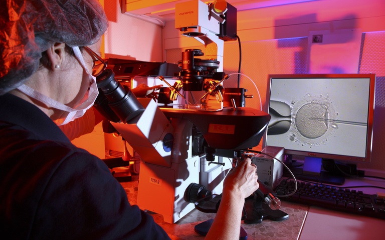 Künstliche Befruchtung