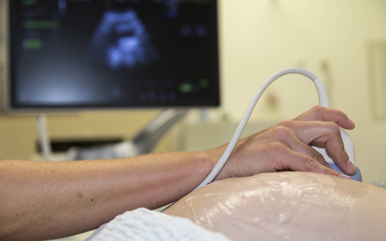 Immer wieder kommt es zu falsch diagnostizierten Fehl- oder Missbildungen.