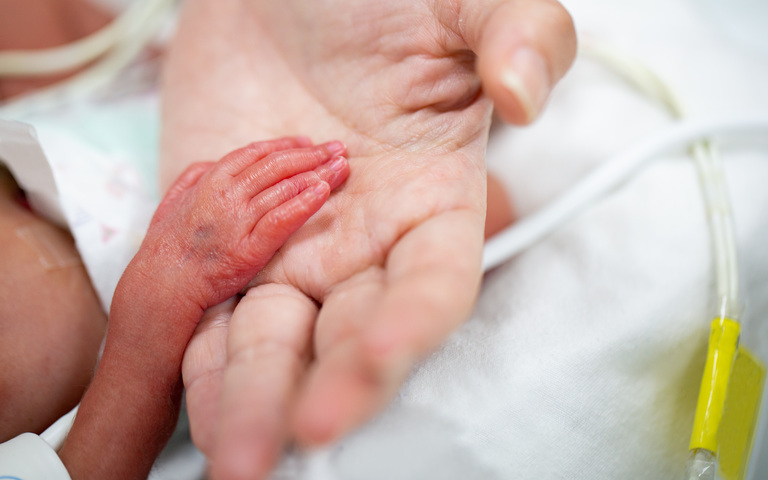Hand eines Frühchens in der Hand seiner Mutter