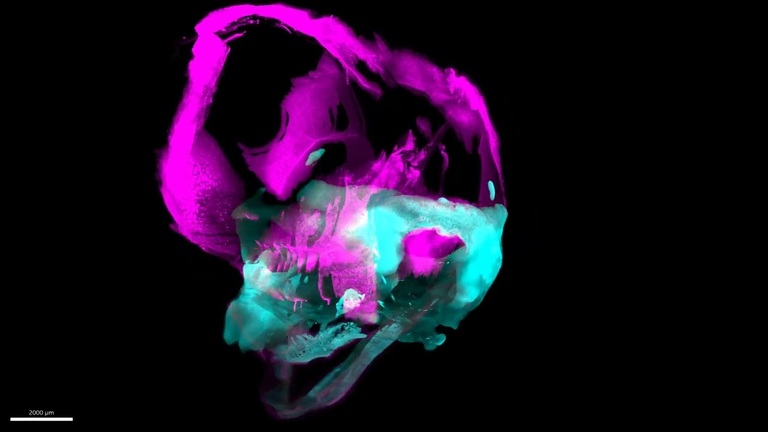 Overlay for YouTube video