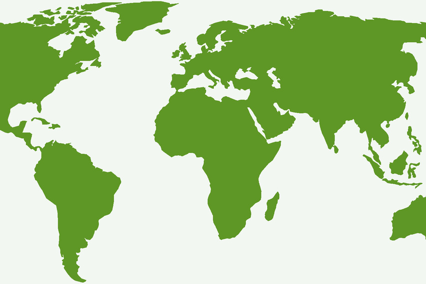 Weltkarte in 1000plus-grün